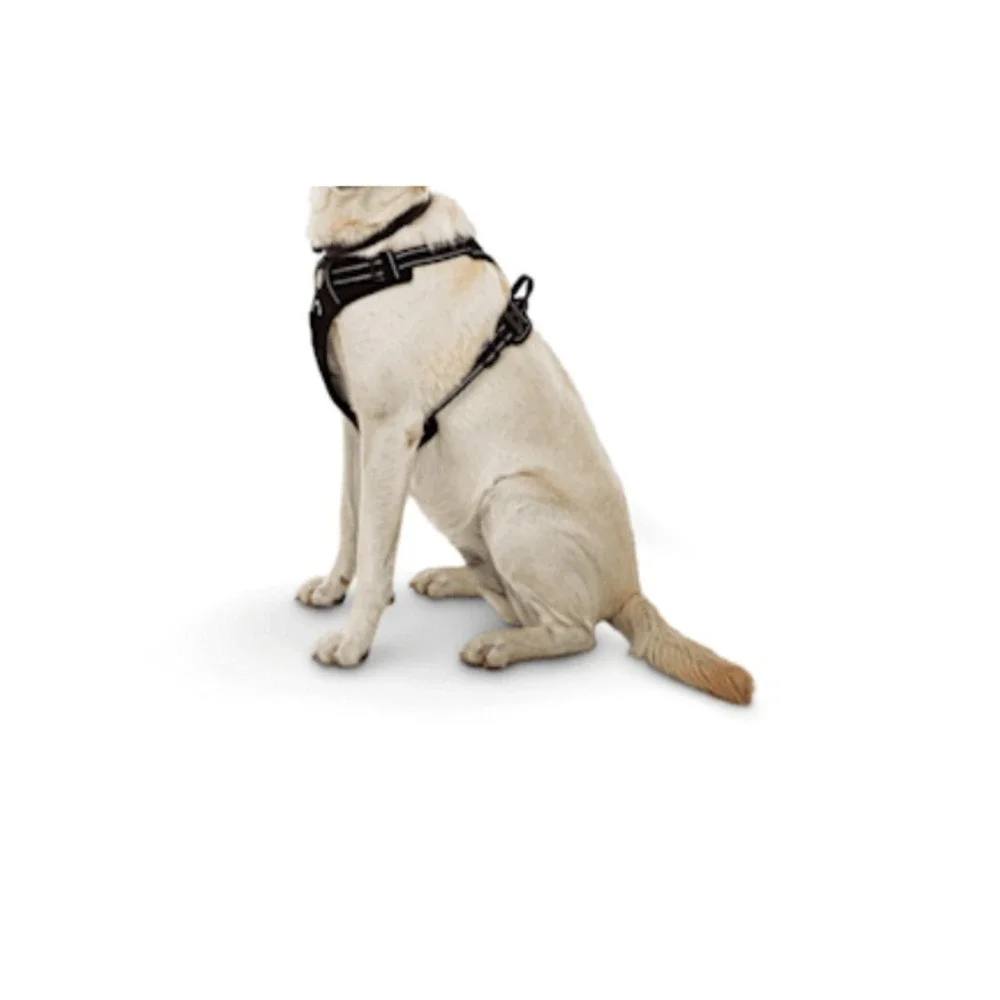 EveryYay Embrace The Pace No Pull Dog Harness Reflective Black Handle XL XXL